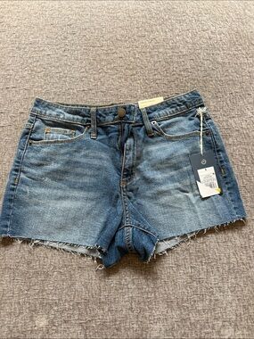 Universal Thread Medium Blue Frayed-Hem Denim Shorts
